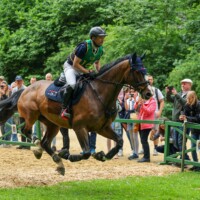 LONGINES PfingstTurnier Wiesbaden am 07.06.2025 im Schloßpark Biebrich Wiesbaden. Vier-Sterne-Vielseitigkeitsprüfung Geländeritt, Michael Jung (GER) auf Fischer Solution II.