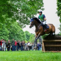 LONGINES PfingstTurnier Wiesbaden am 07.06.2025 im Schloßpark Biebrich Wiesbaden. Vier-Sterne-Vielseitigkeitsprüfung Geländeritt, Michael Jung (GER) auf Fischer Solution II.